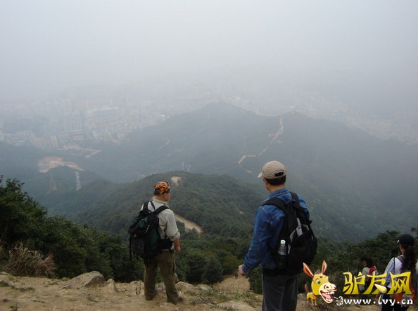 梧桐山.jpg